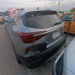 کیا سێلتۆس